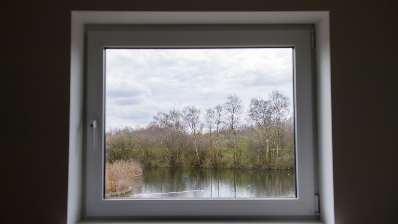 Arber_window.jpg